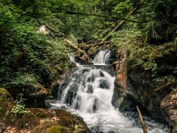 Forest Waterfall Cascade